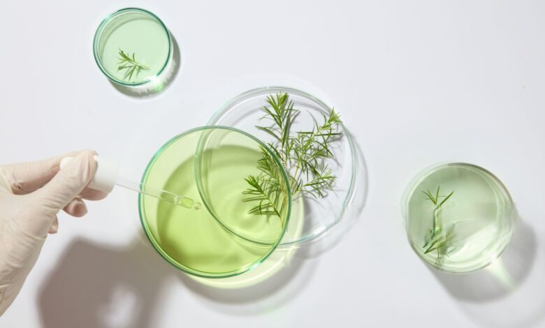 زيت شجرة الشاي Tea Tree Oil