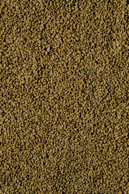 نبات الحلبة Fenugreek